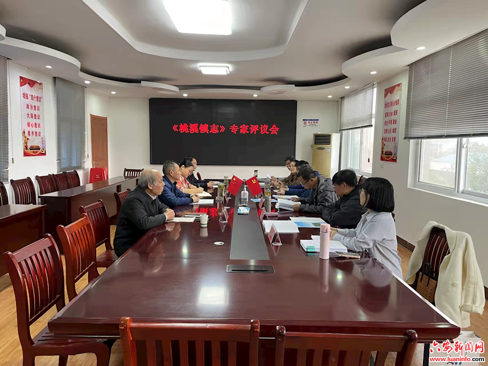 舒城县《桃溪镇志》专家评议会召开