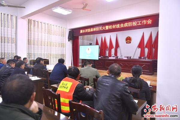 霍山县漫水河镇加强森林防灭火暨松材线虫病防控工作