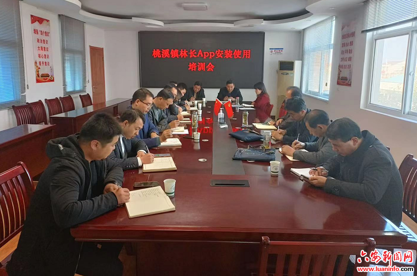 舒城县桃溪镇：启动智慧APP 巡林高效又轻松