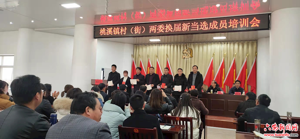 舒城县桃溪镇召开村（街）两委换届当选成员培训会