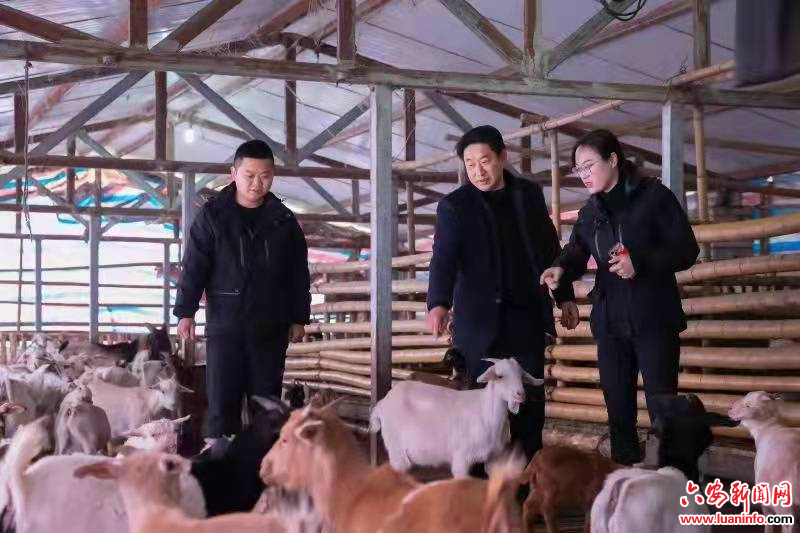 为乡村振兴“强筋壮骨”