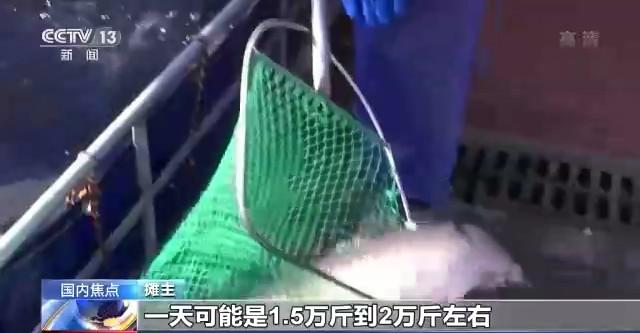 春节将至 国内市场生活必需品供应充足 价格平稳