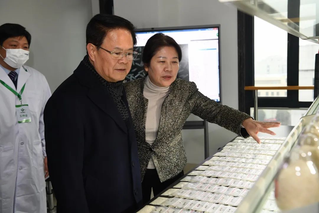 安徽加快打造种业强省，支持合肥打造“种业之都”