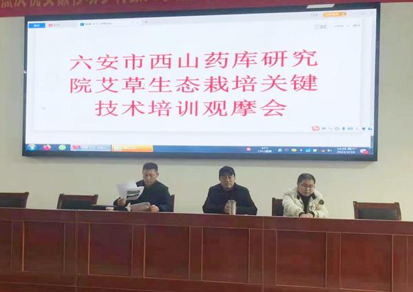 图片11.jpg