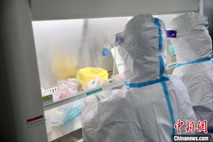 检验员打开封口膜,取出样本。 漳州市卫健委供图