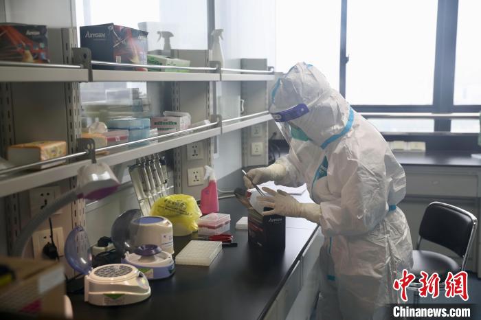 检验员取出装试剂的八连管准备分装试剂。 漳州市卫健委供图