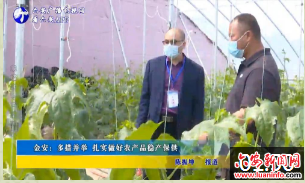 金安：多措并举 扎实做好农产品稳产保供