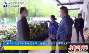 裕安：完善保供和配送体系 保障“菜篮子”供应充足