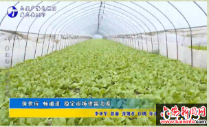 保供应 畅通道 稳定市场供需关系