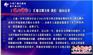 皖西日报评论