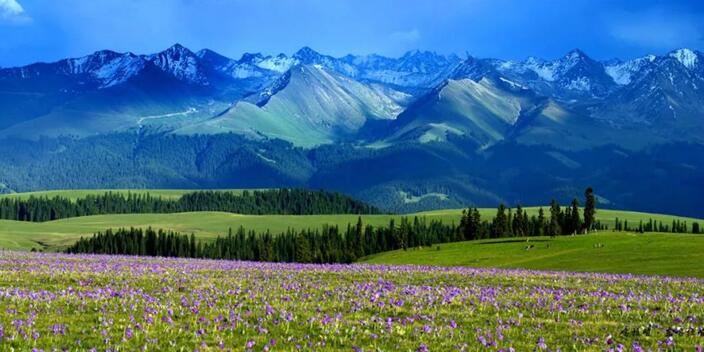 新疆喀拉峻国际生态旅游区位于伊犁哈萨克自治州