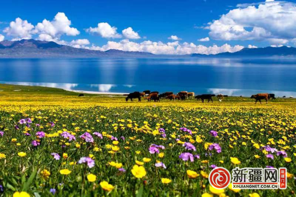 QQ图片20220512194033