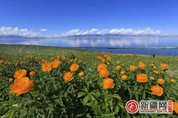 QQ图片20220512194022