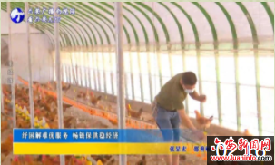 纾困解难优服务 畅链保供稳经济