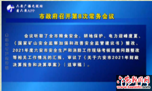 市政府召开第8次常务会议
