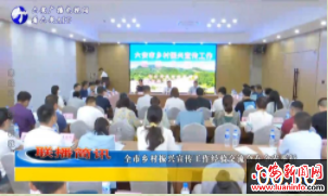 全市乡村振兴宣传工作经验交流会在金安举行