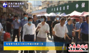 苏曼督导我市全国文明城市创建工作