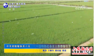 中央省级媒体看六安