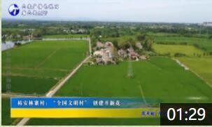 裕安林寨村：“全国文明村” 创建开新花