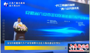 金安区新能源汽车产业发展推介会在上海市嘉定区举行