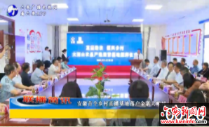 安徽首个乡村直播基地落户金寨大畈村