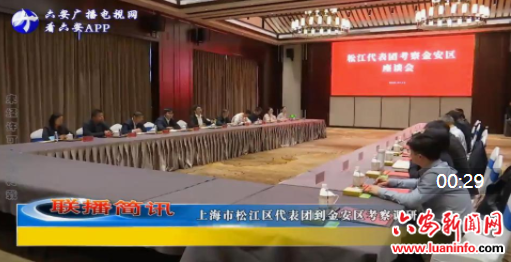 上海市松江区代表团到金安区考察调研