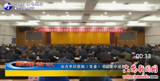 市直单位党组（党委）书记集中述职