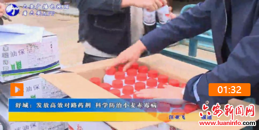 舒城：发放高效对路药剂 科学防治小麦赤霉病