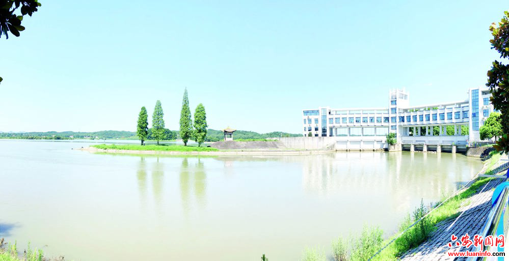 【淠史杭工程开工建设65周年】淠史杭岸边的那棵“树”