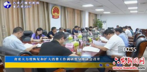 省更大力度恢复和扩大消费工作调研督导座谈会召开