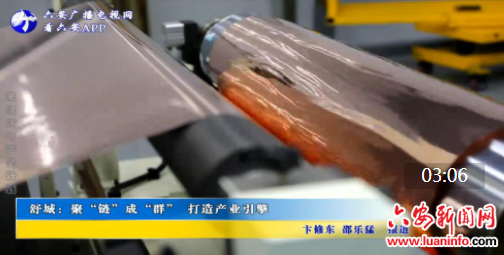 舒城：聚“链”成“群” 打造产业引擎
