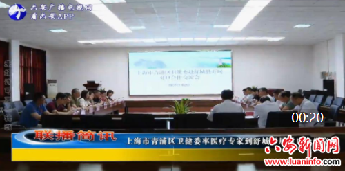 上海市青浦区卫健委率医疗专家到舒城开展对口合作交流