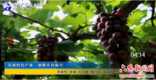发展特色产业 助推乡村振兴