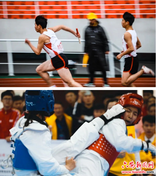 bf1ca9eb919e47eb85bb3fb918b36440.png