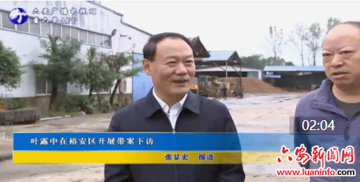  叶露中在裕安区开展带案下访
