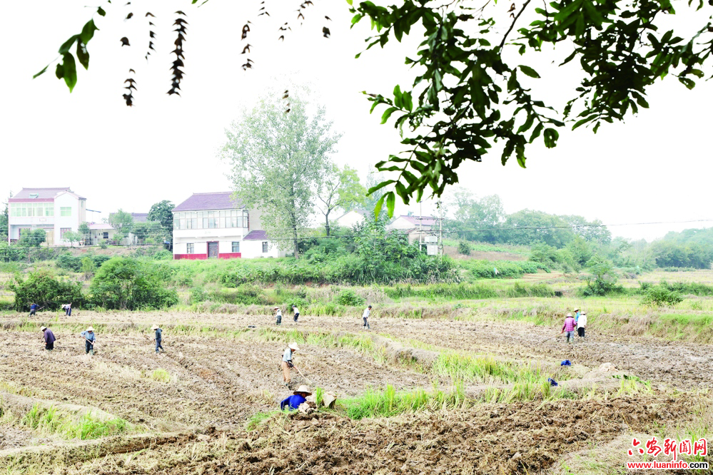 共绘“新丰景” 