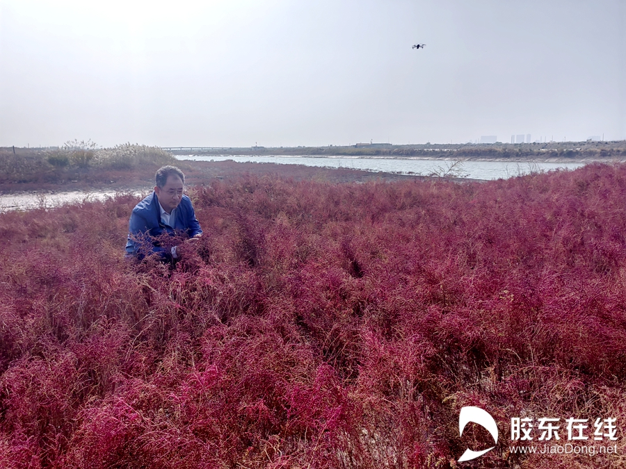 威海科研人物赵明波_副本