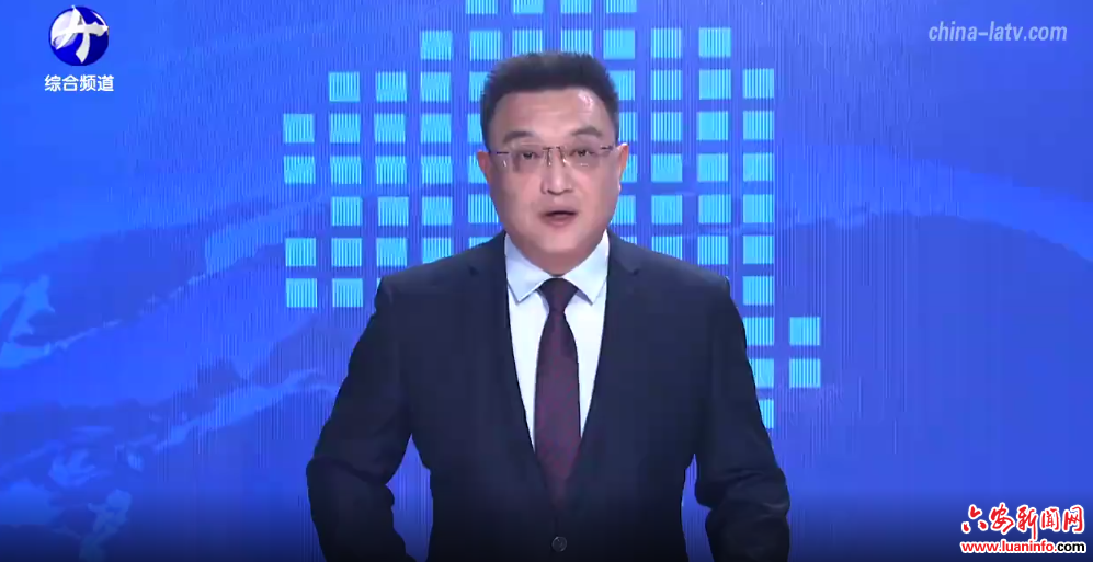 省政协秘书长张岳峰到舒城县调研