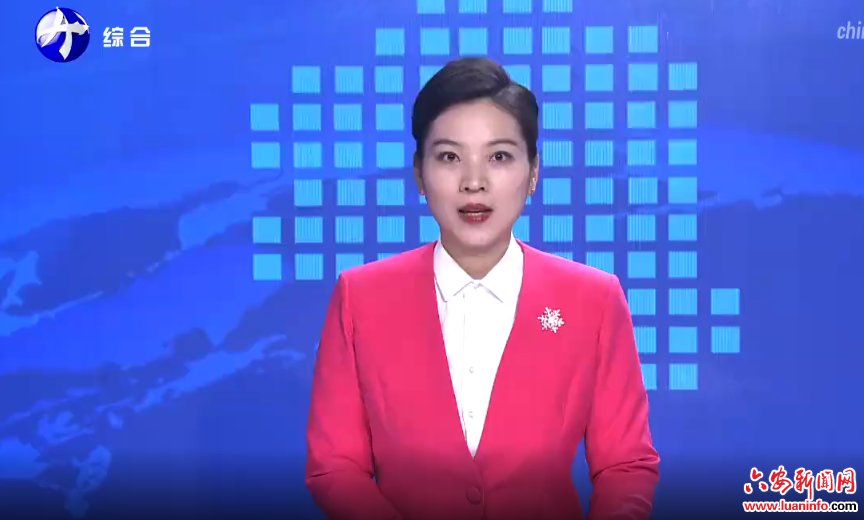  付新安参加霍山代表团审议时强调： 做大做强主导产业和特色产业 努力争当县域经济发展排头兵