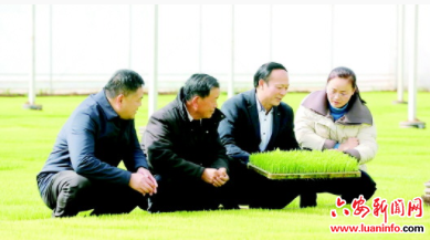 新质生产力赋能春耕