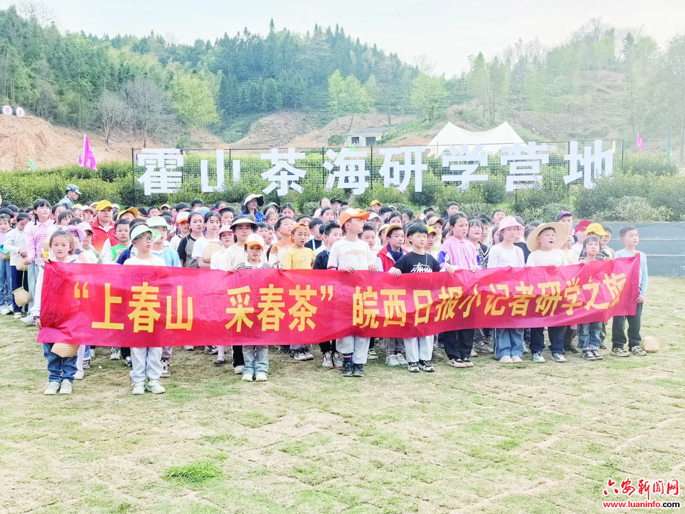 上春山　采春茶