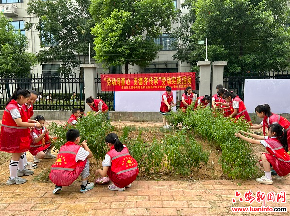 三里桥街道金桥社区：劳动润童心 美德齐传承