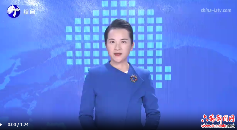 市委常委会会议强调：认真贯彻中央经济工作会议精神 坚定不移推动六安高质量发展