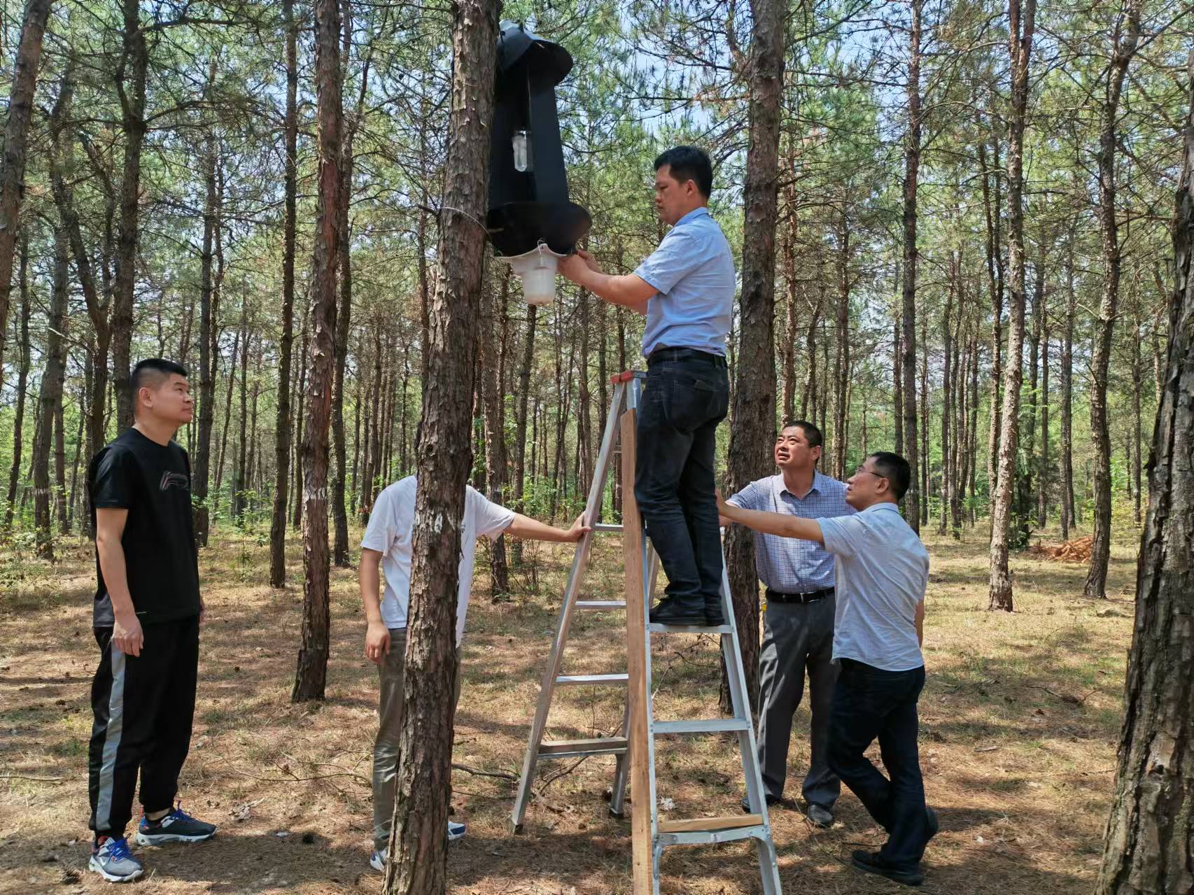 诱捕器监测松墨天牛.jpg