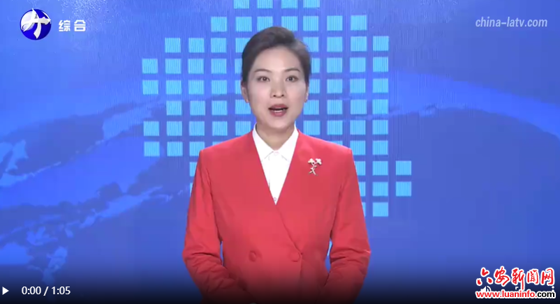 市委常委会会议强调 扎实做好全市组织工作