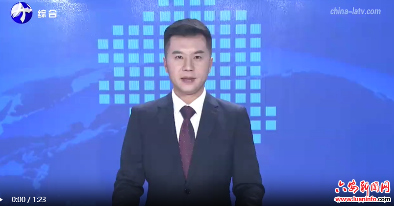  耿鹏指导2024年度金寨县委常委会民主生活会