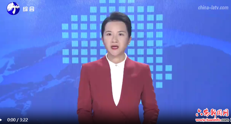  六安：拓宽群众增收渠道 助力乡村加速振兴