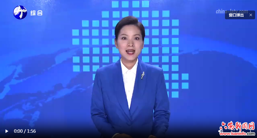 金寨：村网共建 激活茶乡新动能