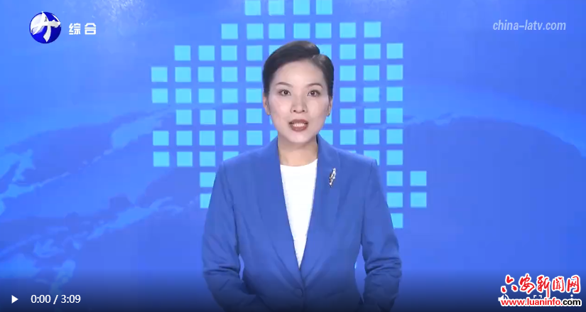 六安：黄大茶产业赋能乡村振兴
