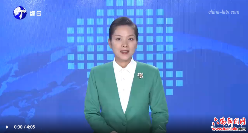 金安区先生店镇：多元产业齐发力 绘就乡村振兴新图景